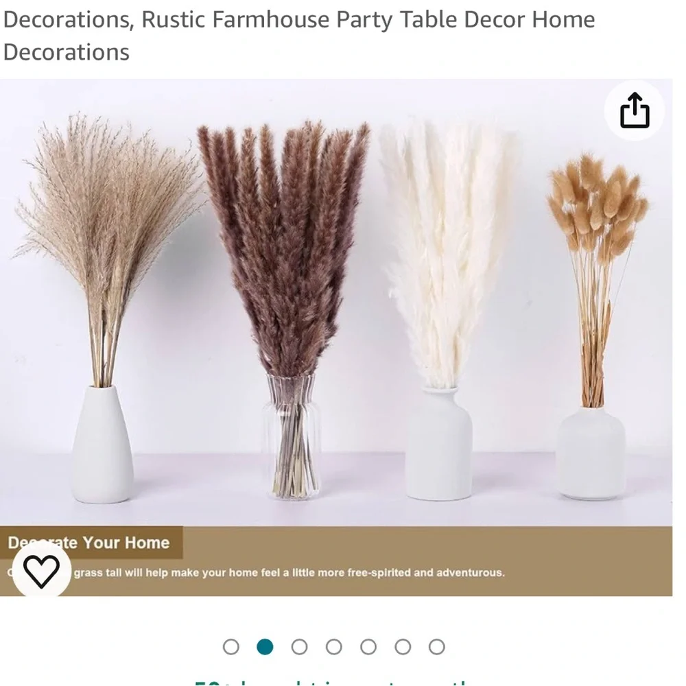 Pampas Grass NIB